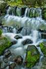 Cascading water-Fern Spring-Yosemite National Park-California Art Print